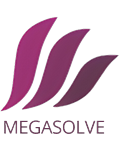 Megasolve