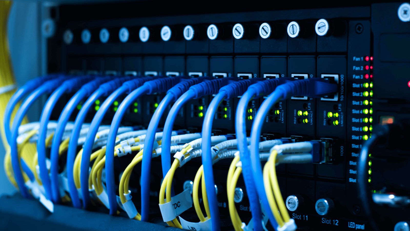 Network patch panel with cabling